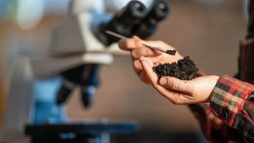 Illustrative image of Soil classification (USCS/AASHTO) in Chandler